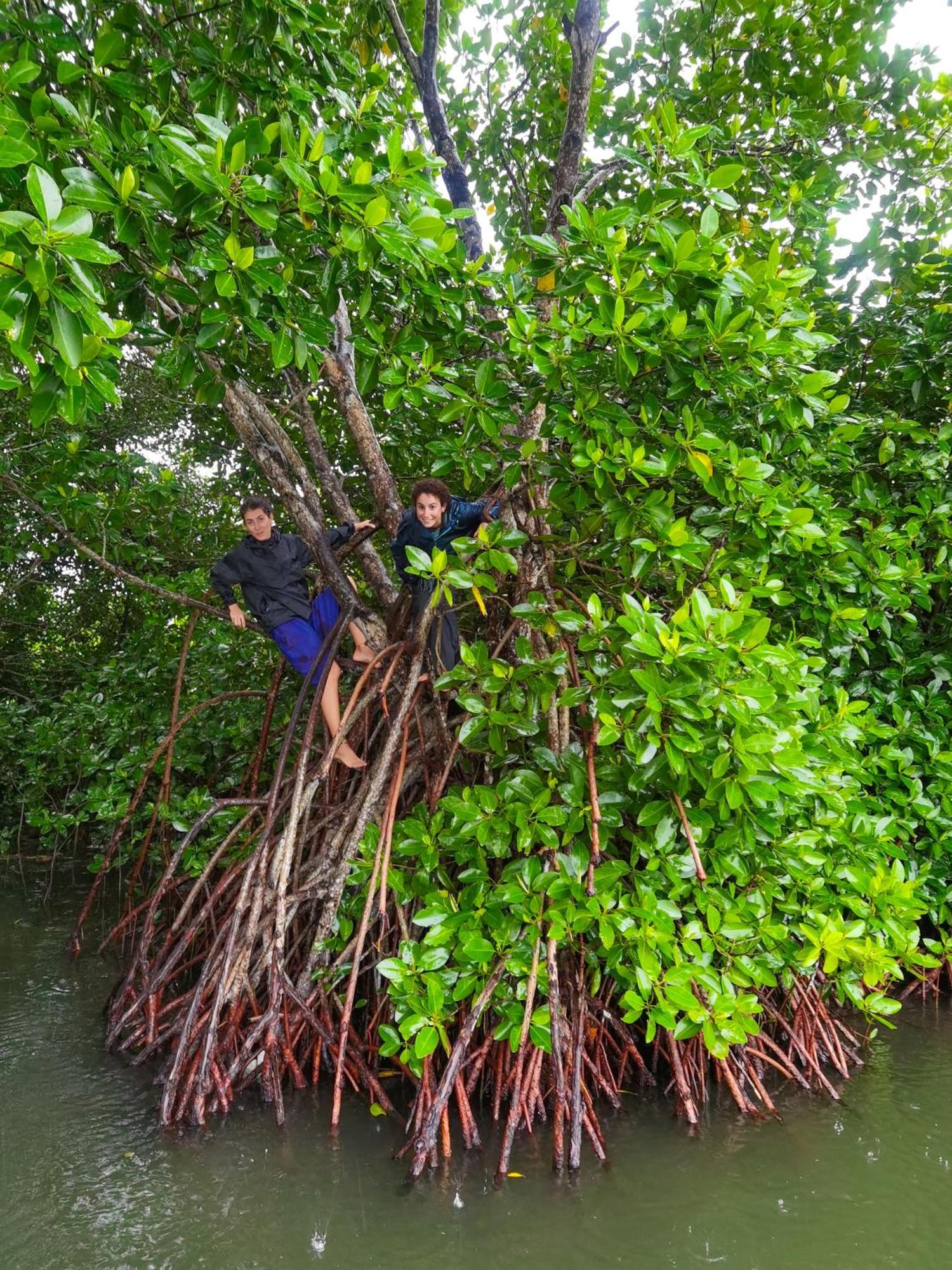 Santa Maria Hostel Munroe Island Mundrothuruth Luaran gambar
