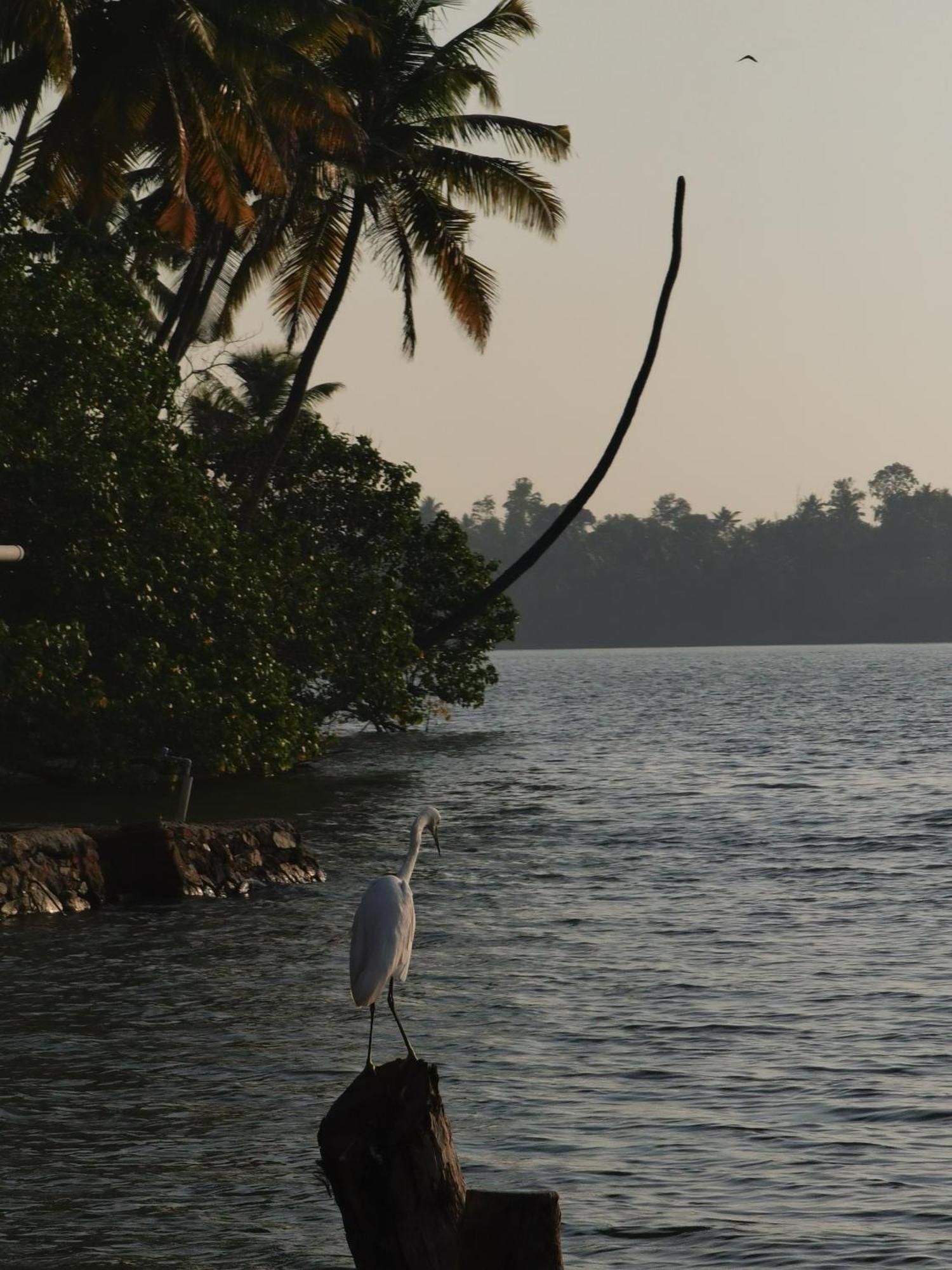 Santa Maria Hostel Munroe Island Mundrothuruth Luaran gambar